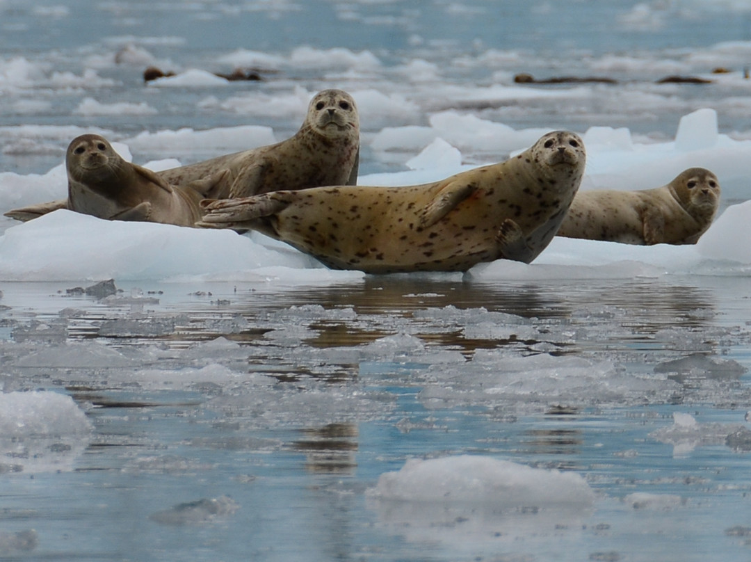 Lazy Otter Charters-惠提尔必去景点