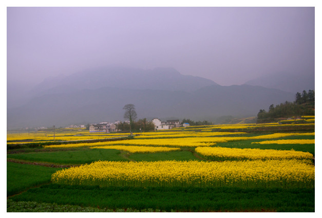 绩溪龙川-黄山市必去景点