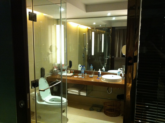 杭州龙禧福朋喜来登酒店主图