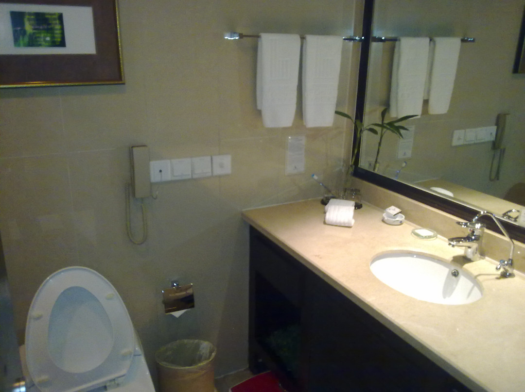 南国大酒店主图