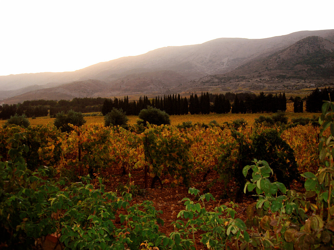 Chateau Kefraya-Kafraiya必去景点