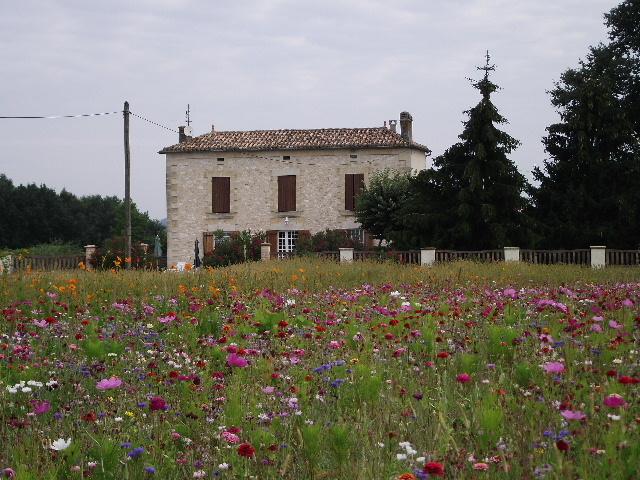 Clos de Peyre-酒店景观