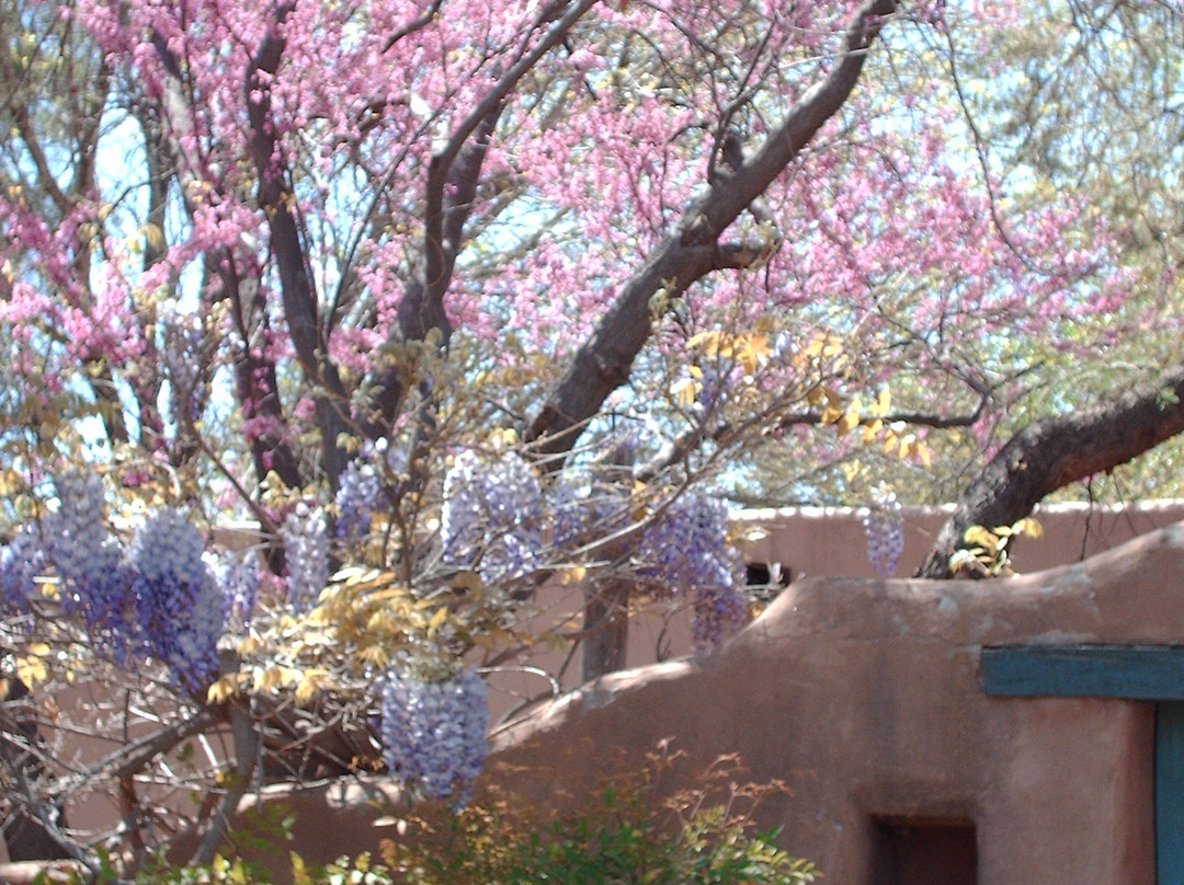 Sandhill Crane Bed and Breakfast主图