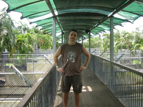 Crocodylus Park-达尔文市必去景点