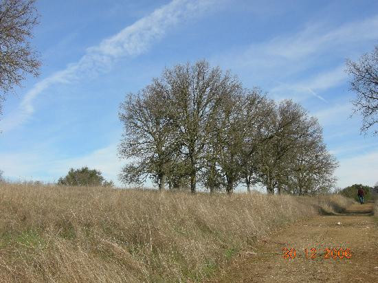 Saddle Creek Resort主图