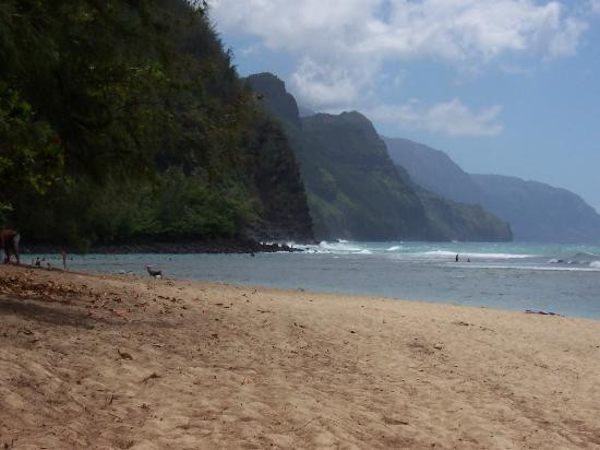 可可海滩-哈耶纳必去景点