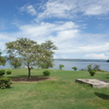 一颗桃一个桃核