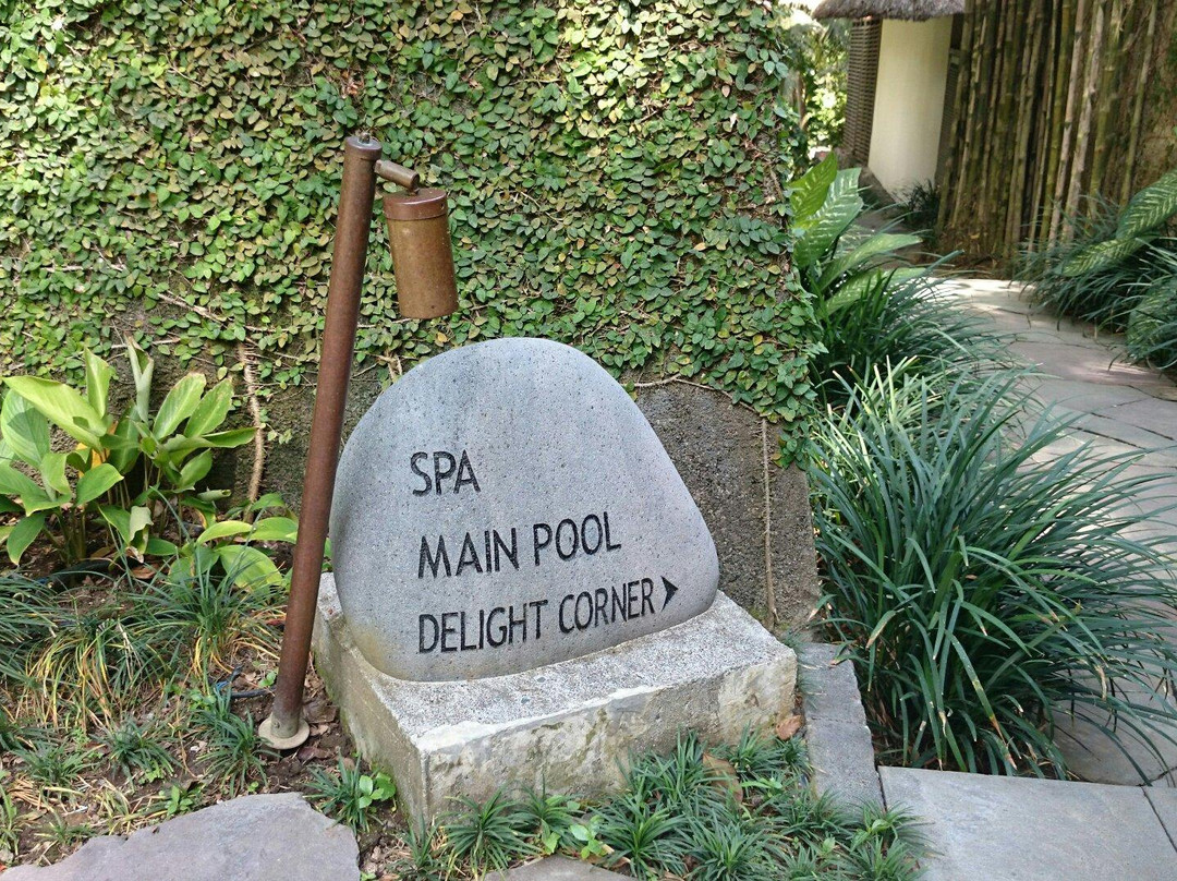 乌布肉桂水疗-乌布必去景点