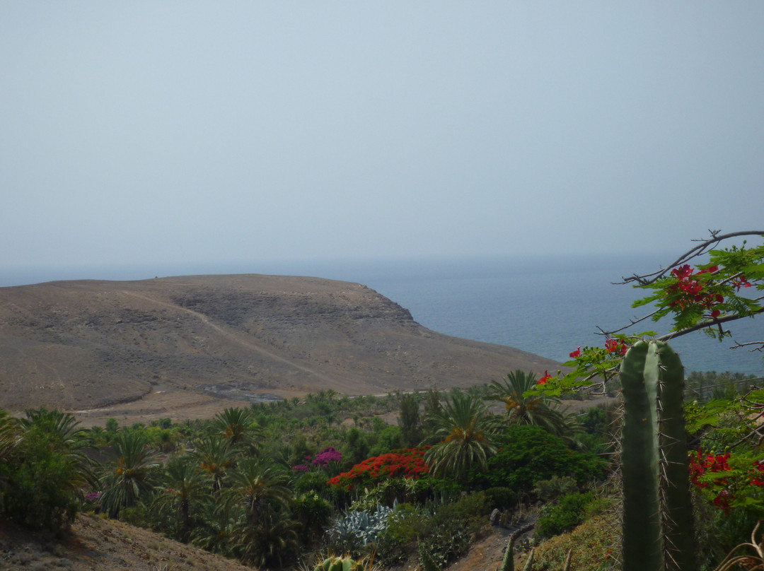 Oasis Park Fuerteventura景点图片