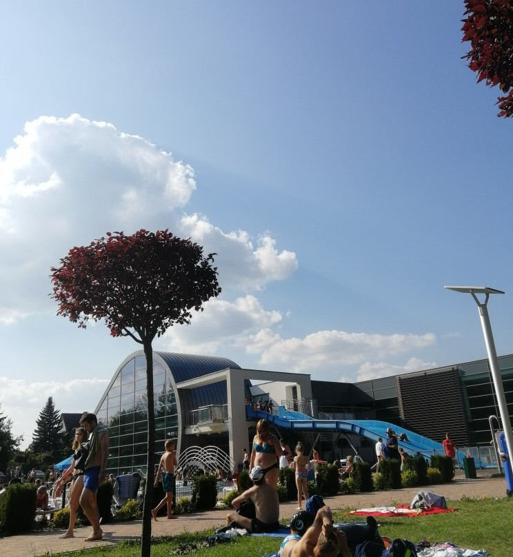 Gminny Park Wodny Trzebnica - Zdroj景点图片