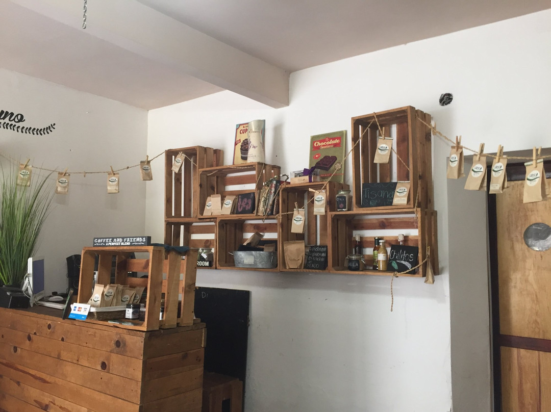 Mapimi餐馆和美食-Antojerias Tradicion Lagunera