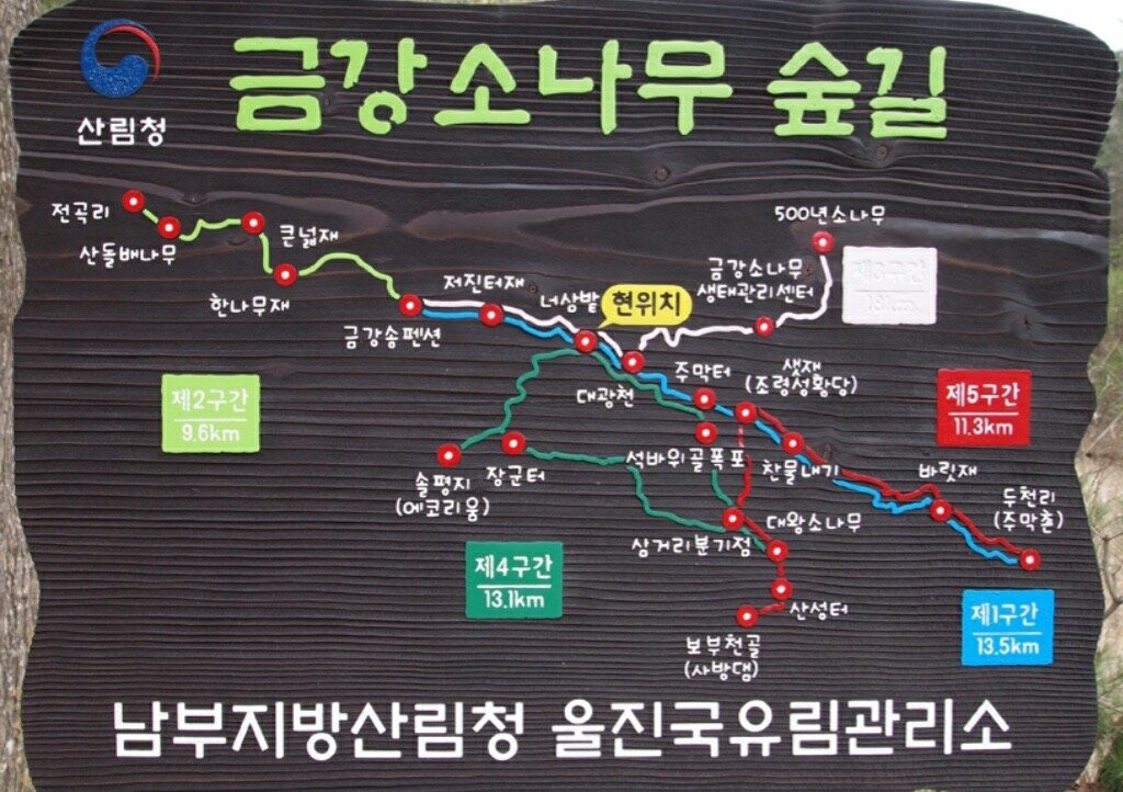 Geumgang Pine Forest of Uljin