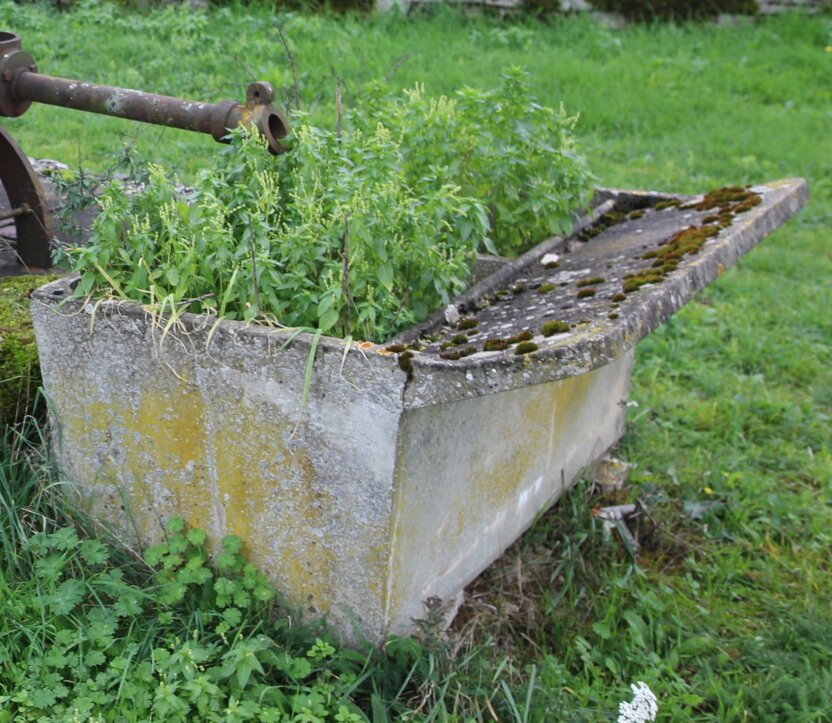 Pompe et bac à lavoir d'Oudun