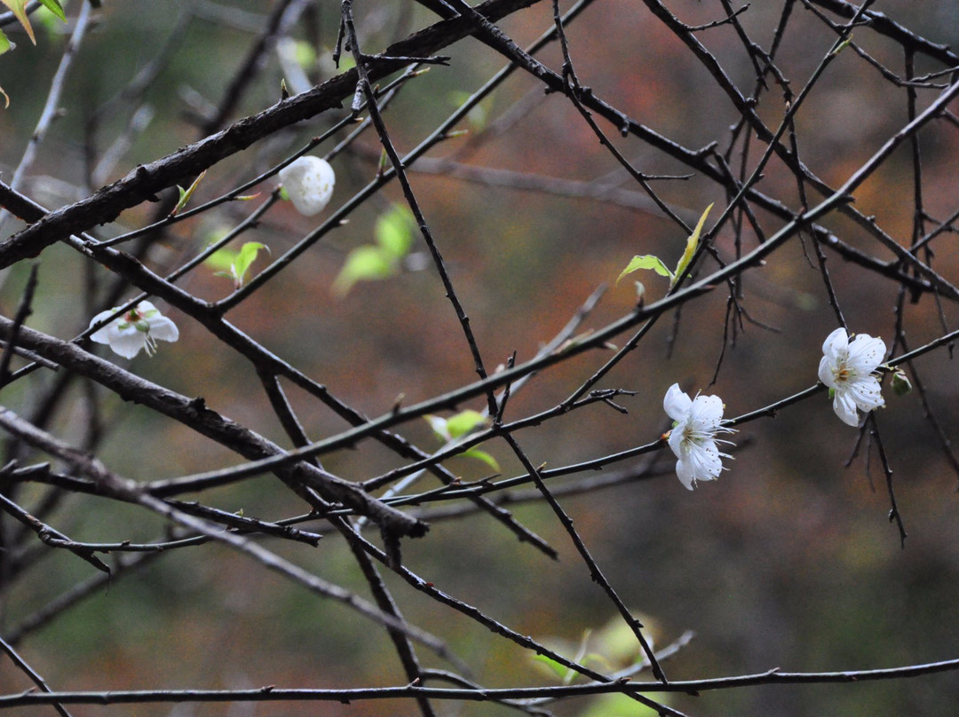 南雄梅关古道-南雄市必去景点