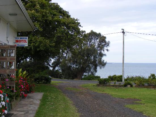 Seabreeze Motel-泳池
