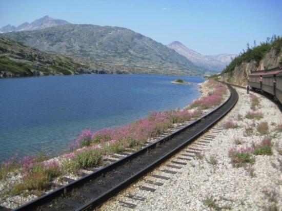 Dawson's Landing旅游攻略图片