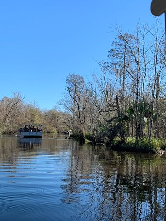 Cajun Pride Swamp Tours景点图片