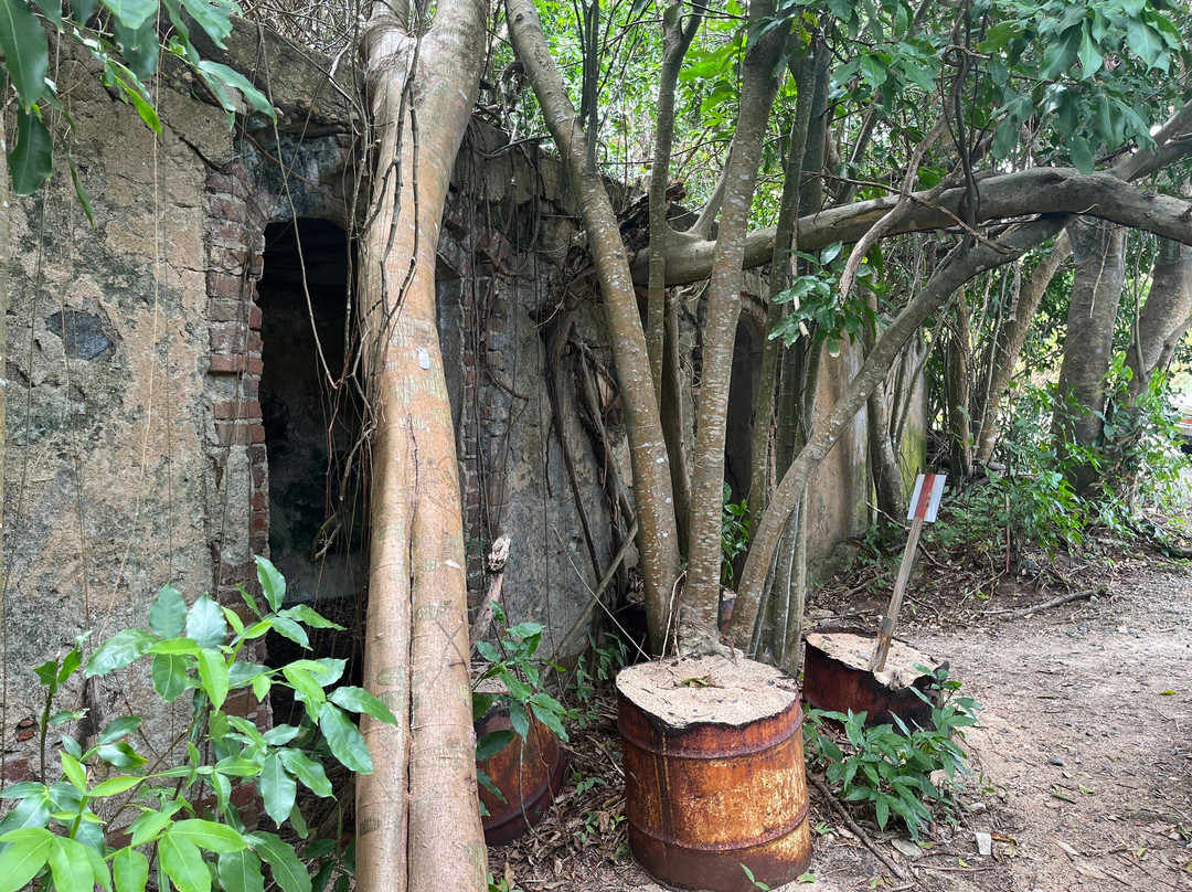Sugar Mill Ruins-维切克岛必去景点