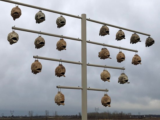 Audubon Center at Riverlands-West Alton必去景点