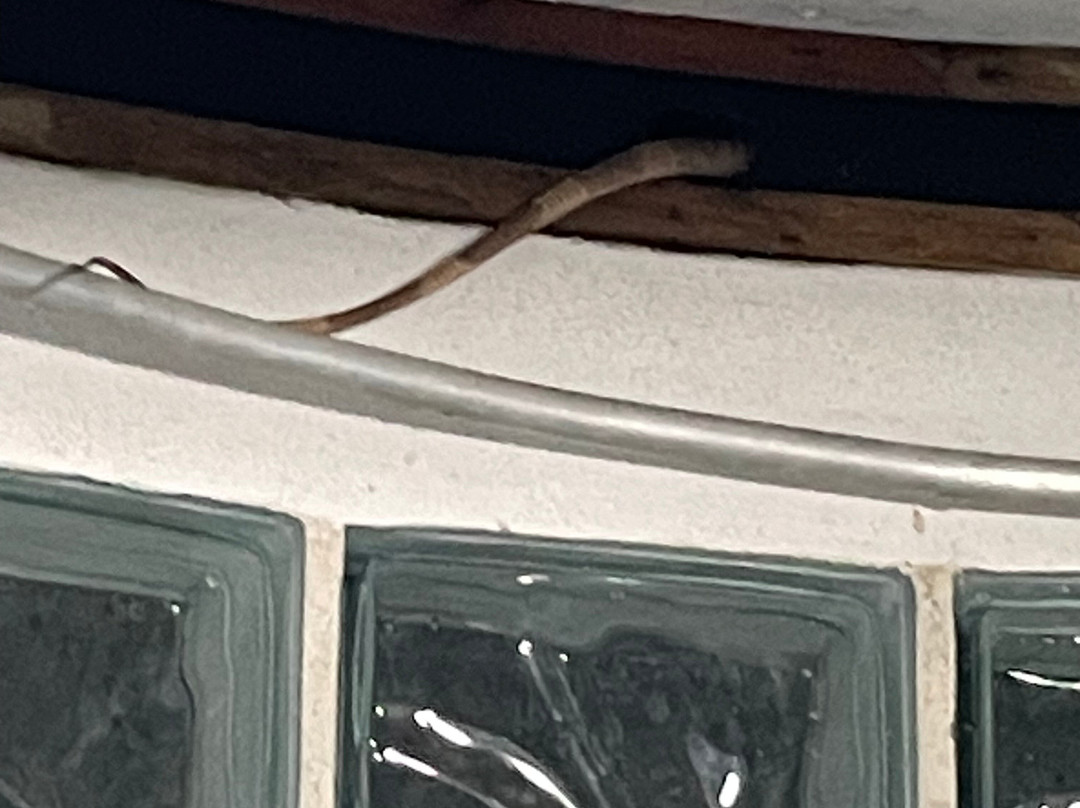 Hotel Las Tortugas主图