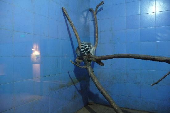 北京野生动物园-北京市必去景点