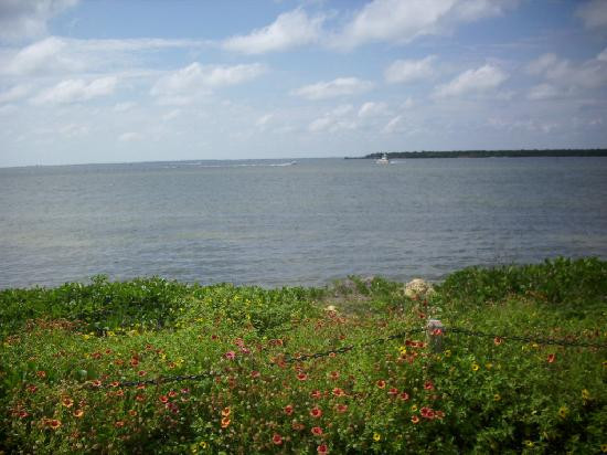 De Soto National Memorial-布雷登顿必去景点