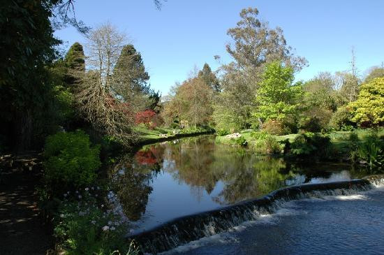 Mount Usher Gardens-Ashford必去景点
