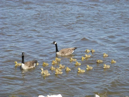 Legislative Building-里贾纳必去景点