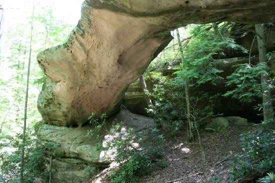 Pickett CCC Memorial State Park景点图片