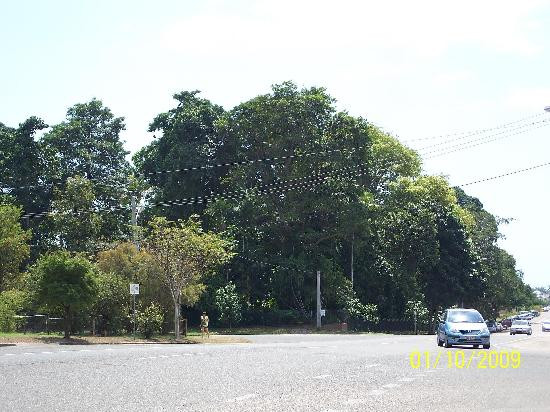 Queens Gardens Townsville-North Ward必去景点