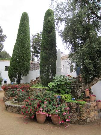 Jardi Botanic de Cap Roig景点图片