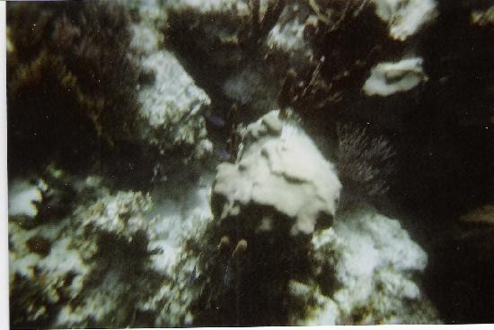 浮潜冒险-坎昆必去景点