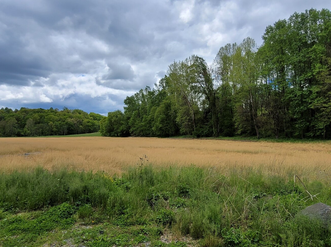 Deer Creek Conservation Area-Forest Hill必去景点