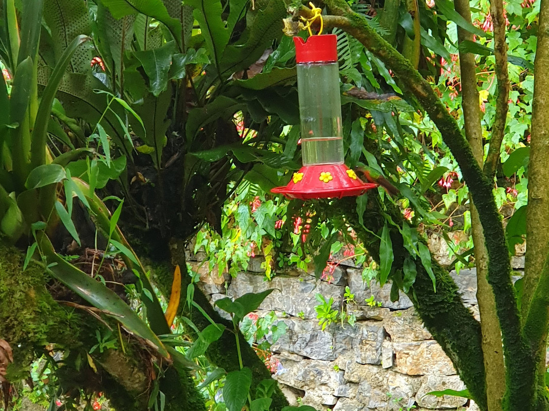 Kentitambo B&B主图