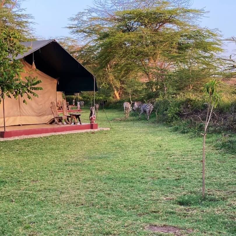 African Delight Safari-莫西必去景点