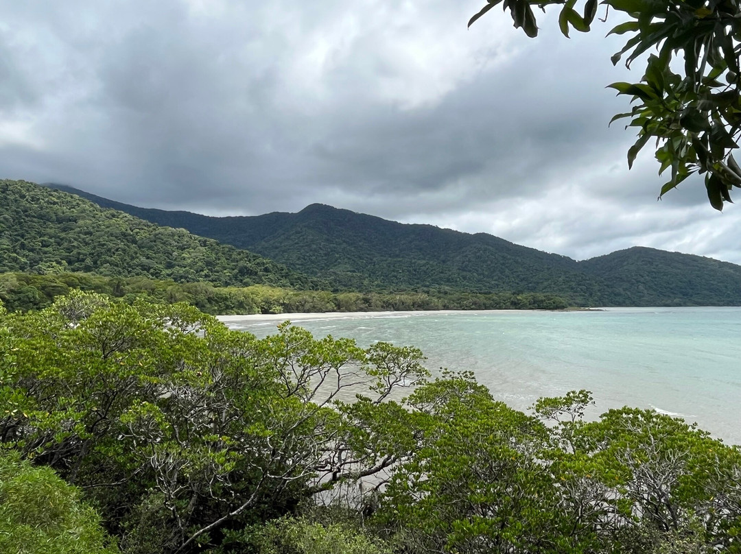Kulki Boardwalk-Cape Tribulation必去景点