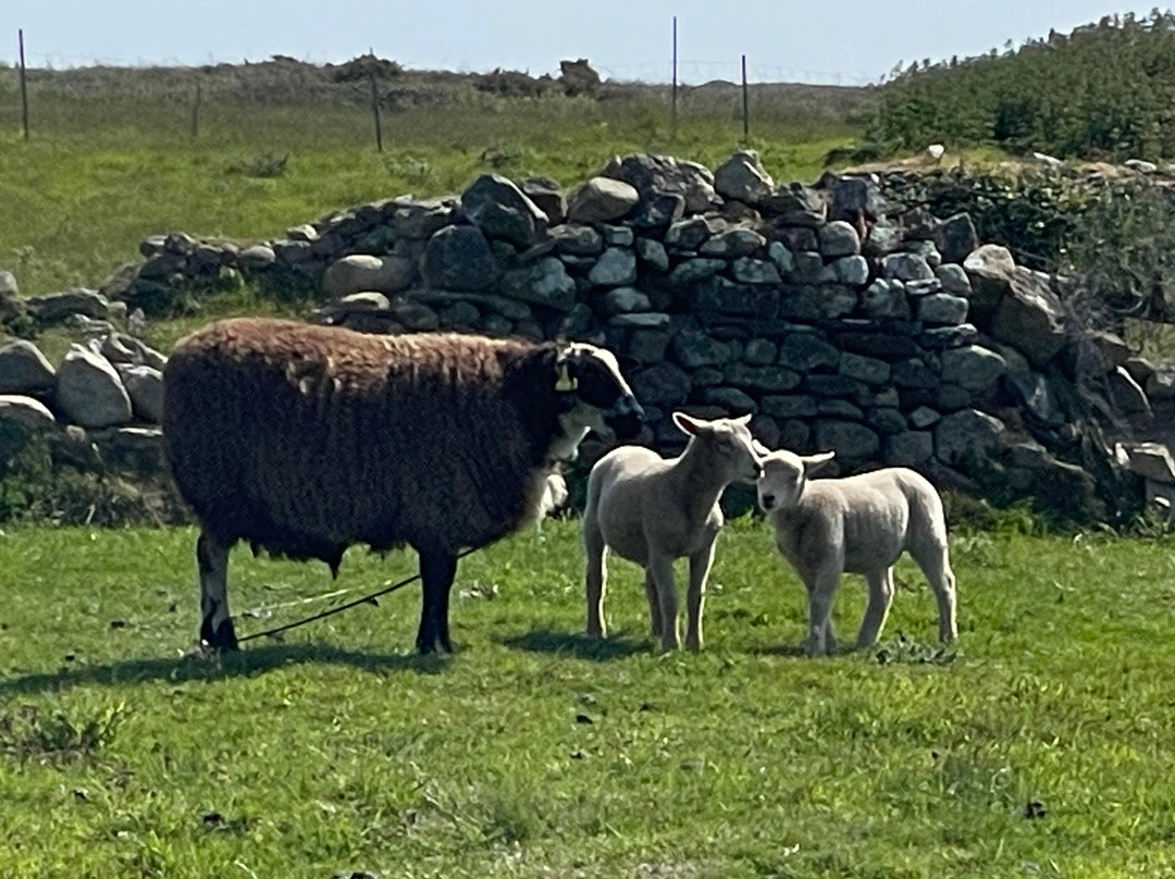 La Bicyclette-Ouessant必去景点