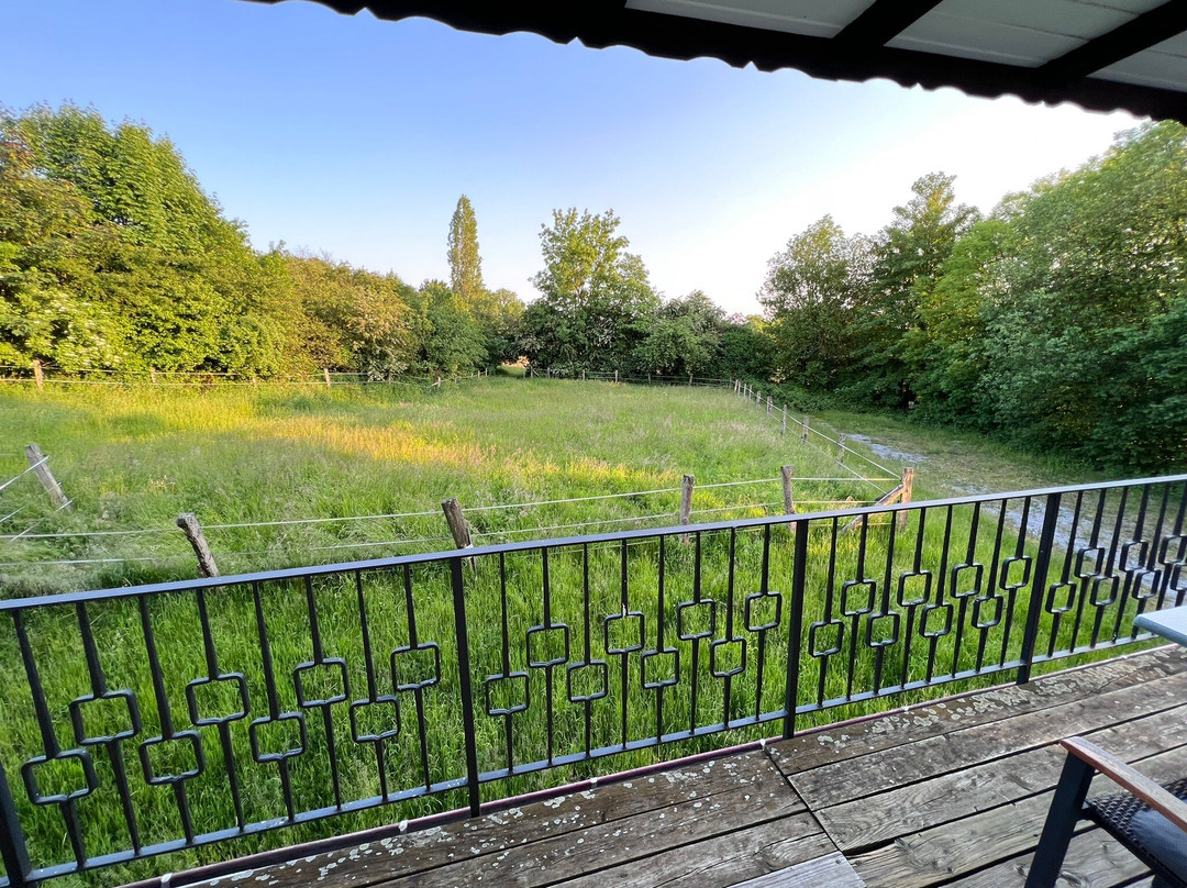 Antoniushütte主图