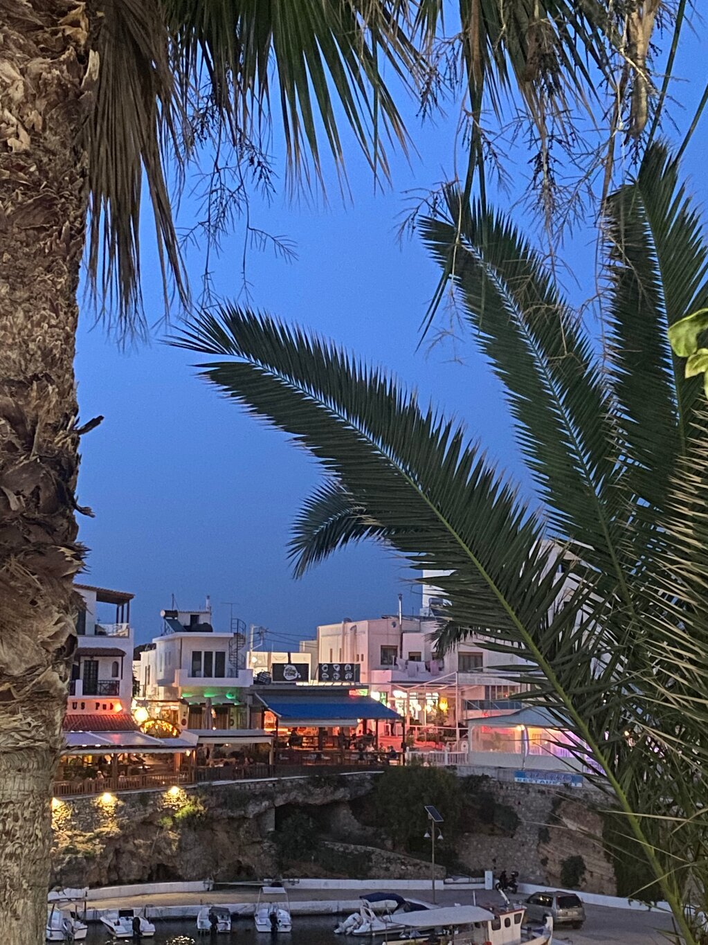 Palm Bay Hotel-餐饮