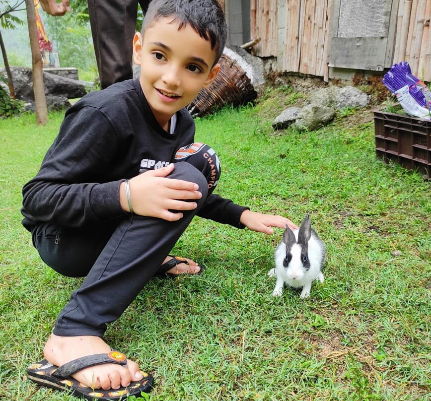 Vedic Vibes Resort主图