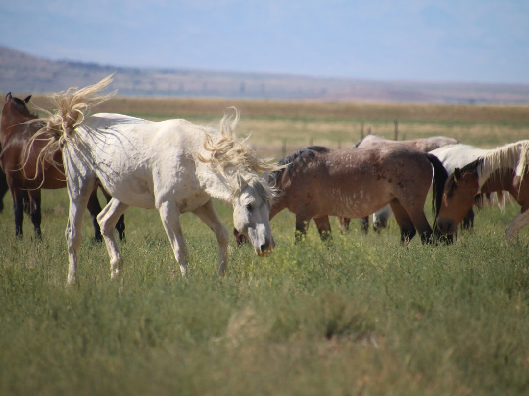 Jennifer Rogers-Tooele必去景点