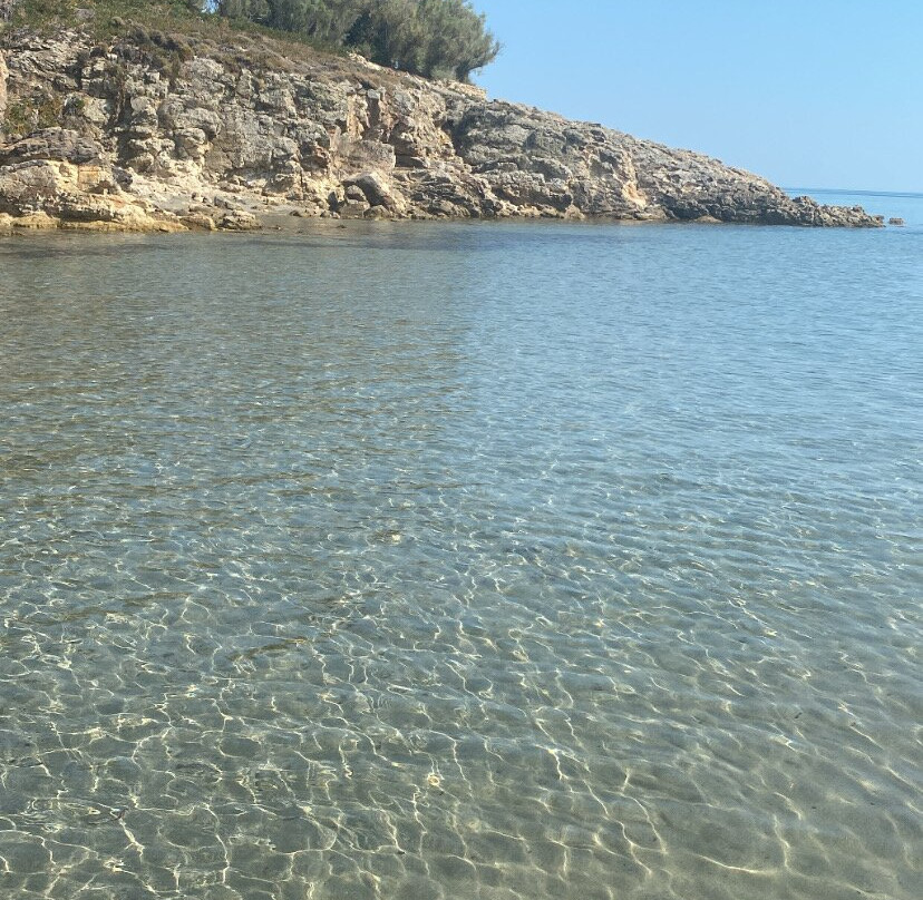 Mikro Fanaraki Beach景点图片