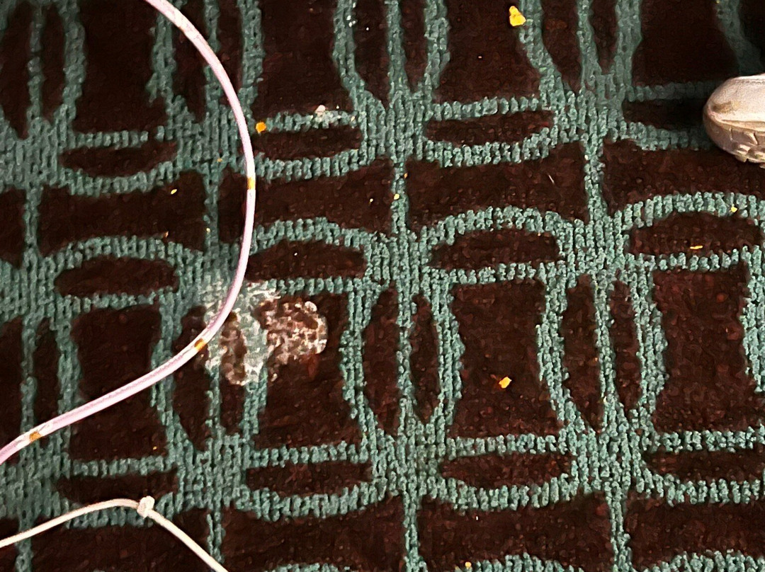 剑桥套房戴斯旅馆主图