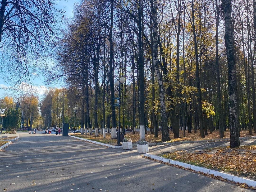 Central Park of Culture and Recreation of Vladimir City景点图片