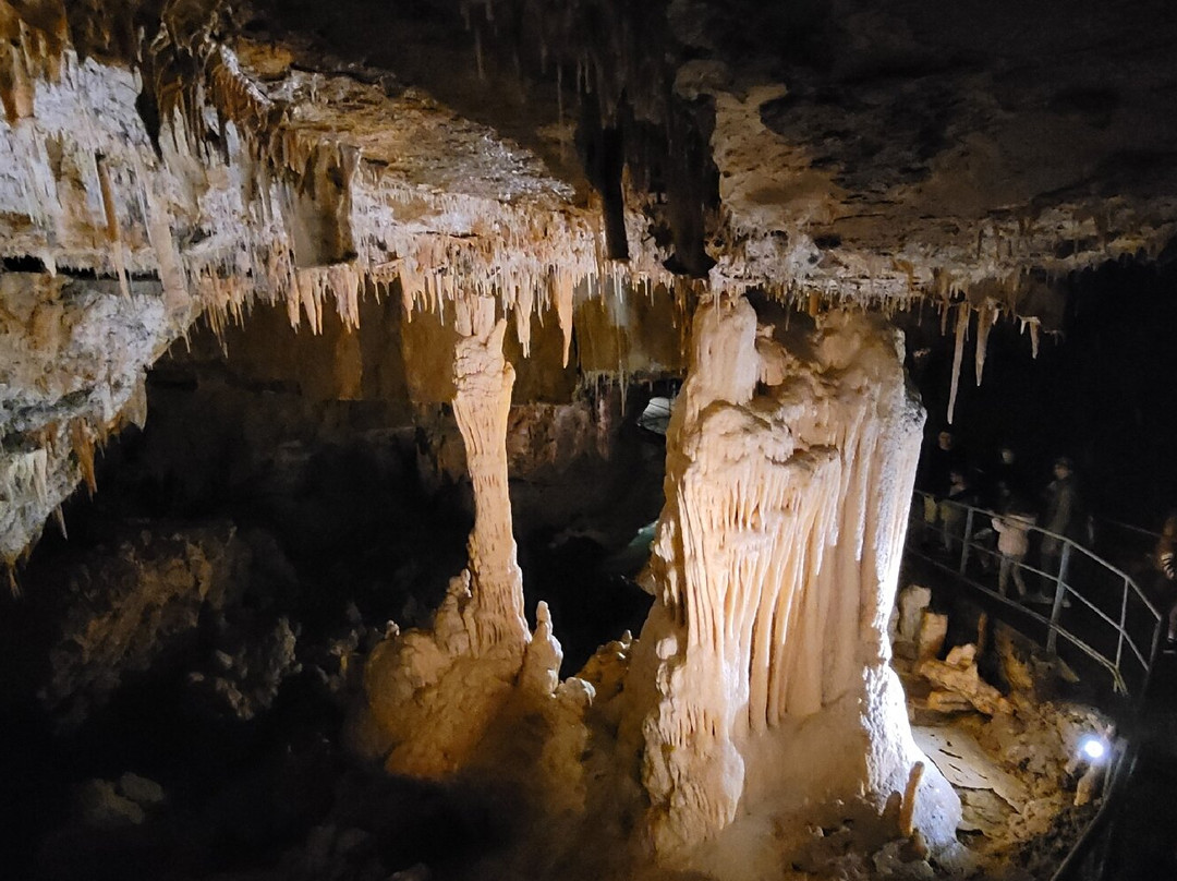 Grotte de Foissac景点图片