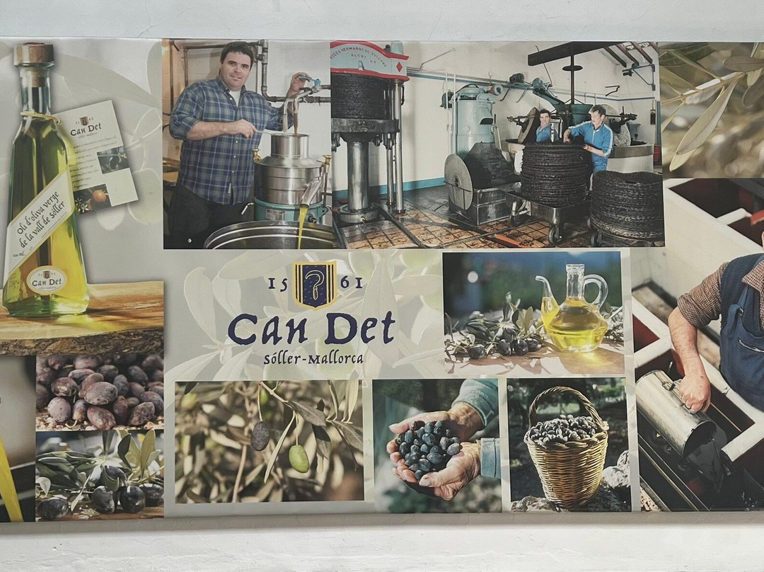 Can Det-索耶尔必去景点