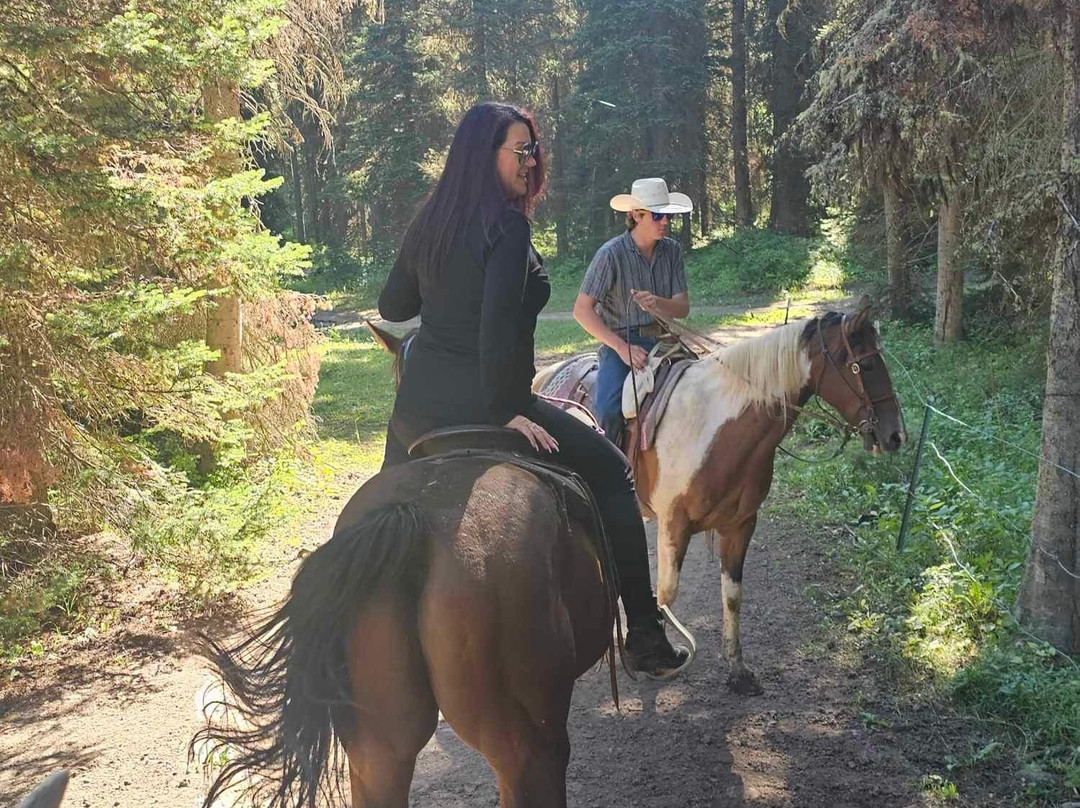 Creekside Trail Rides-西黄石镇必去景点