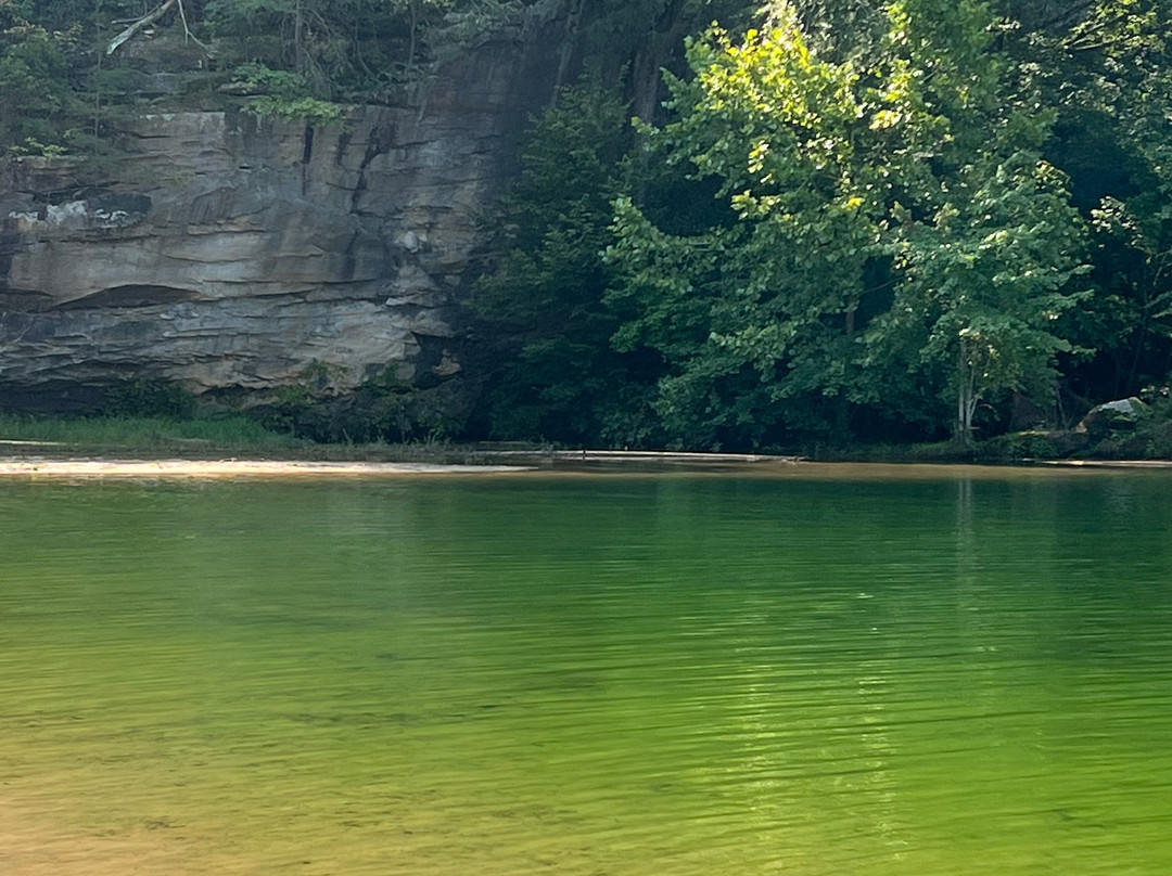 Pennyrile Forest State Resort Park景点图片
