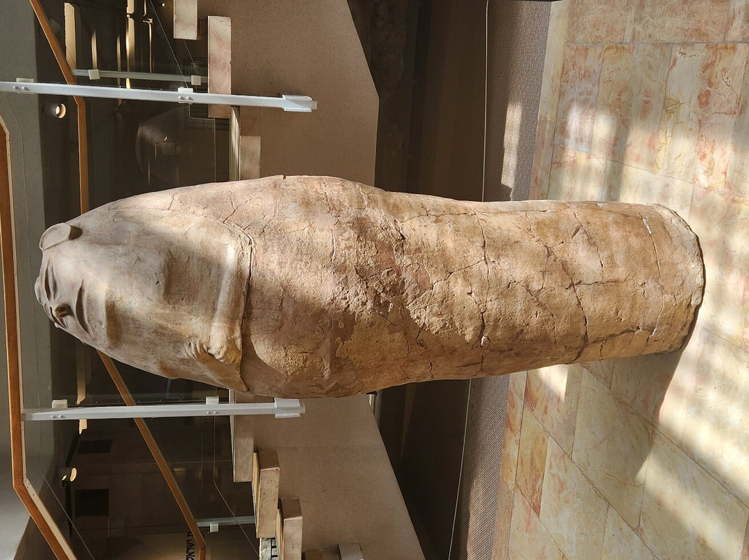 Hecht Museum, University of Haifa-Haifa必去景点