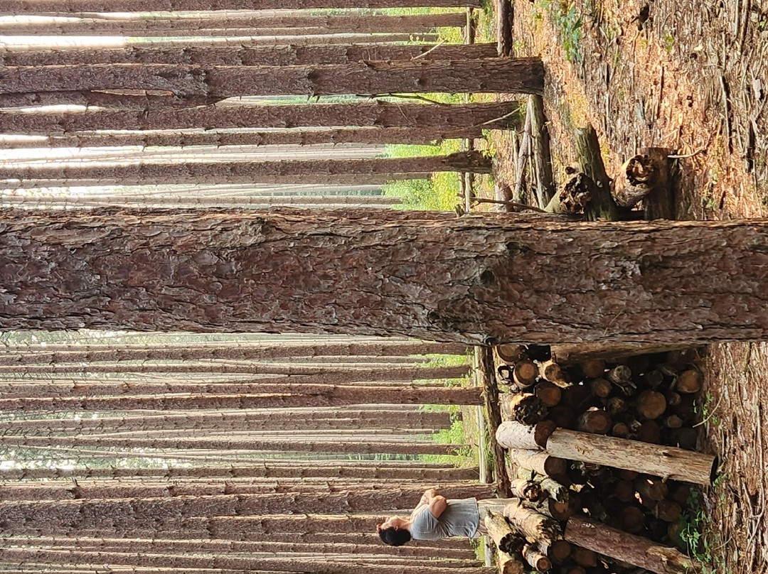 Oak Openings Preserve Metropark-Swanton必去景点